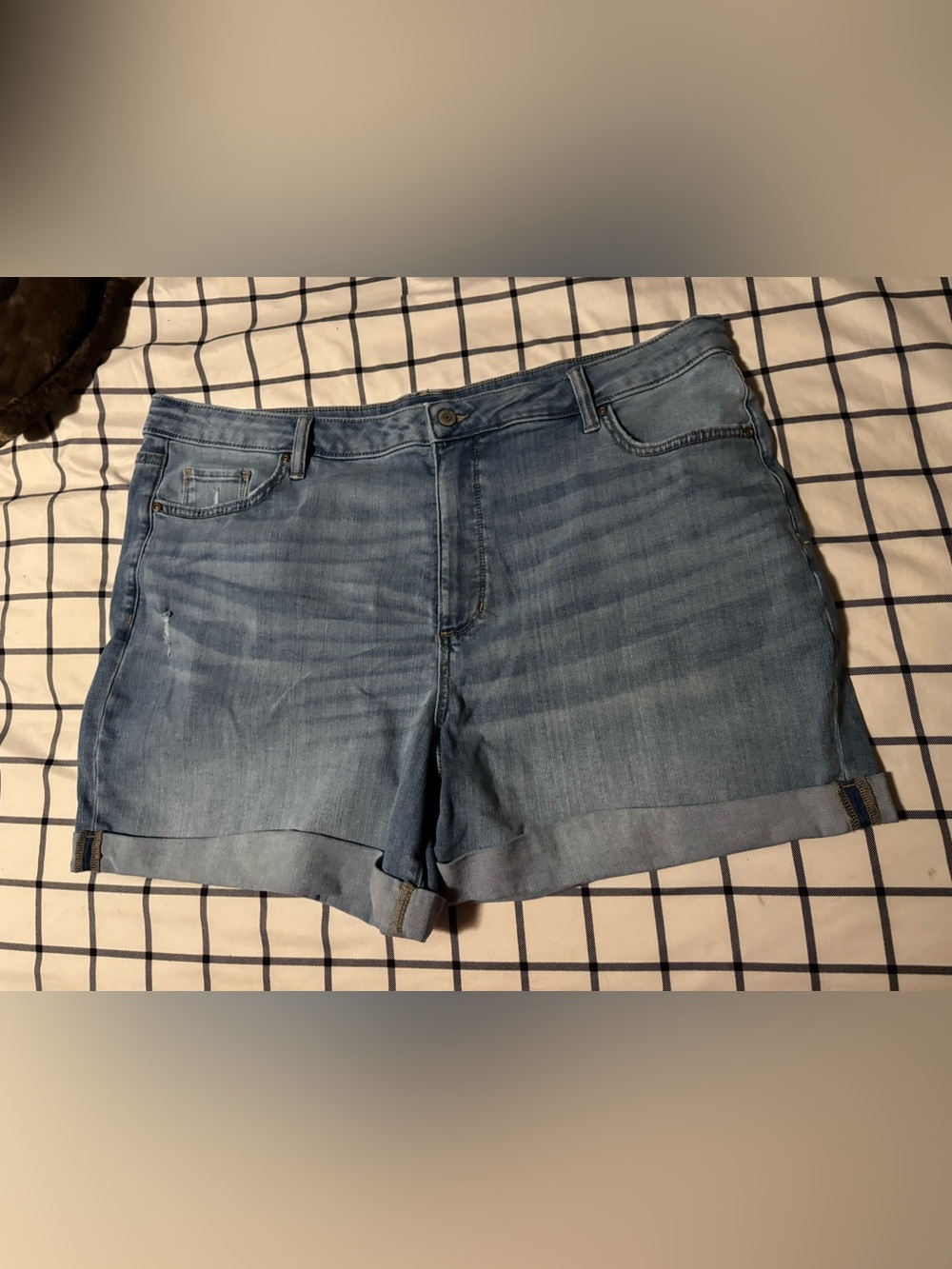 Women’s Plus Size Jean Shorts Size 22